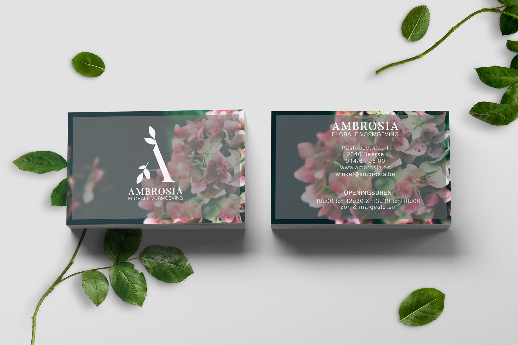 ambrosia-visitekaartjes